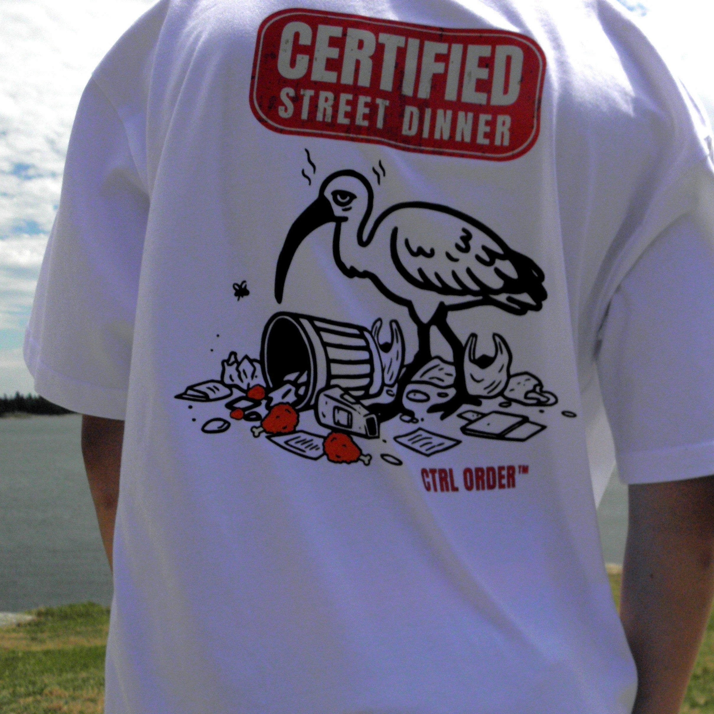 Back view of white CTRL ORDER youth t-shirt featuring the Certified Street Dinner graphic with ibis illustration and bold red logo